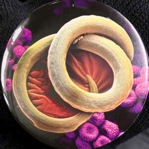 Collage badge by Ben showing brightly coloured microscope imagery