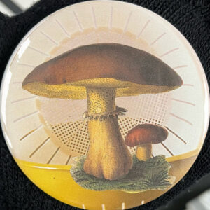 Collage badge by Ben showing mushrooms against a yellow background