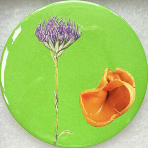 Badge collage by Ben showing purple and orange botanical shapes against a green background